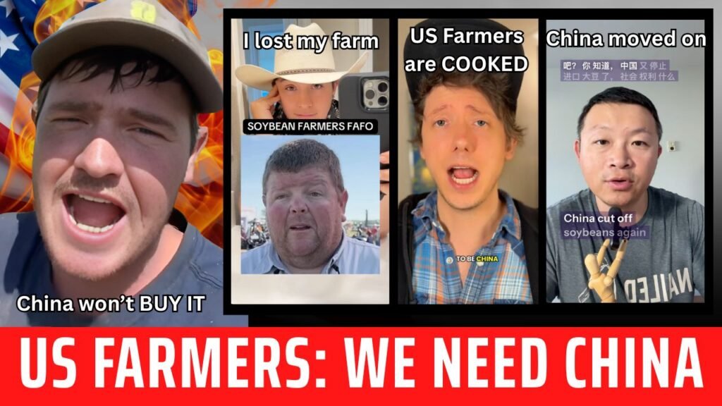 The Trade War’s Real Casualties: How China Outmaneuvered America While US Farmers Pay the Price